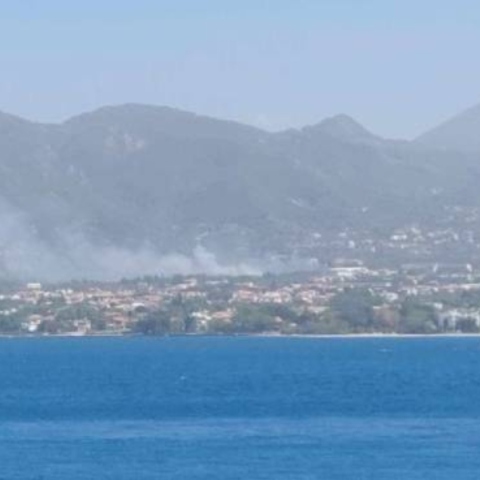 Φωτιά στην Πάτρα: Εκκενώθηκαν 2 σχολεία στην περιοχή Πλατάνι 