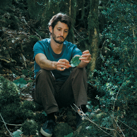 Το λυσάρι της ζωής