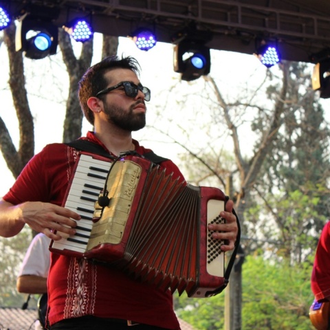 Μουσικό παίζει ακορντεόν πάνω στη σκηνή