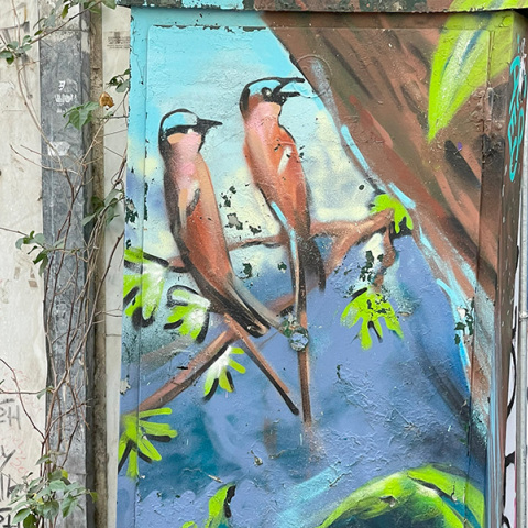 Street art στο καφάο  στον πεζόδρομο της οδού Μαυροκορδάτου