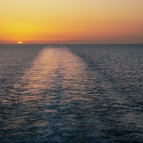 Το Αιγαίο ανήκει στα ψάρια του;