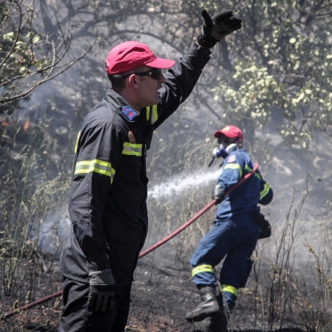 Πυρκαγιά στο Άλσος Βεΐκου: Προκλήθηκε από βεγγαλικά 