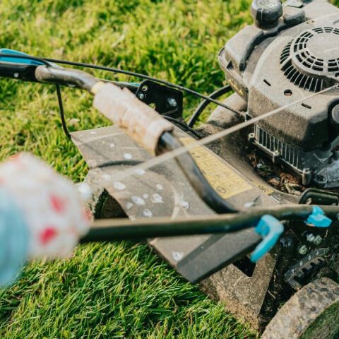 Δηλώσεις καθαρισμού οικοπέδων: Παράταση έως τις 30 Ιουνίου στην ψηφιακή πλατφόρμα akatharista.apps.gov.gr - Η υπουργική απόφαση για τα μέτρα πυροπροστασίας