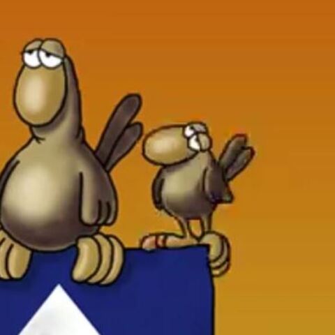 Αρκάς: Η απαξιωτική «Καλημέρα» με την οικογένεια των σπουργιτιών