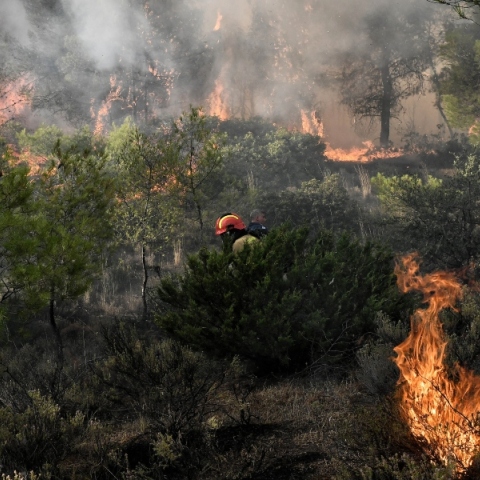 Φωτιά τώρα στην Αλίαρτο Βοιωτίας: Σηκώθηκαν εναέρια μέσα