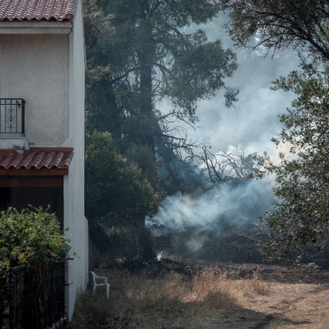 Πυροπροστασία: Οδηγός για τα δασικά ακίνητα και ακαθάριστα οικόπεδα 
