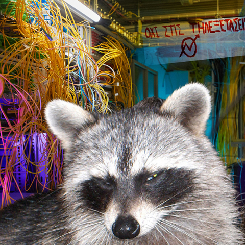 Η δολιοφθορά στον σέρβερ του ΕΚΠΑ έγινε από ένα ρακούν 
