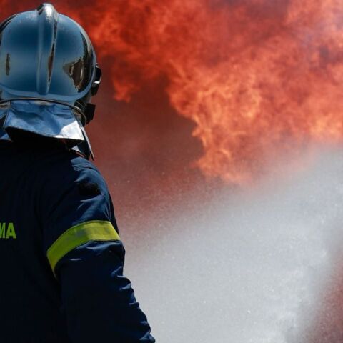 Χαλκιδική: Σε εξέλιξη φωτιά κοντά στην Κασσανδρεία - Απειλείται φωτοβολταϊκό πάρκο - Ισχυρές δυνάμεις της Πυροσβεστικής επιχειρούν στο σημείο.