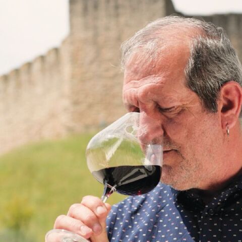 Monsieur Nicolas Winery