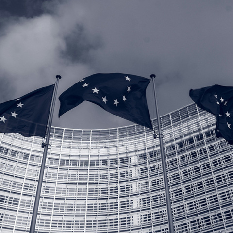 Ευρωεκλογές εν μέσω πολέμου: Πότε θα αφυπνιστεί επιτέλους η Ε.Ε.;