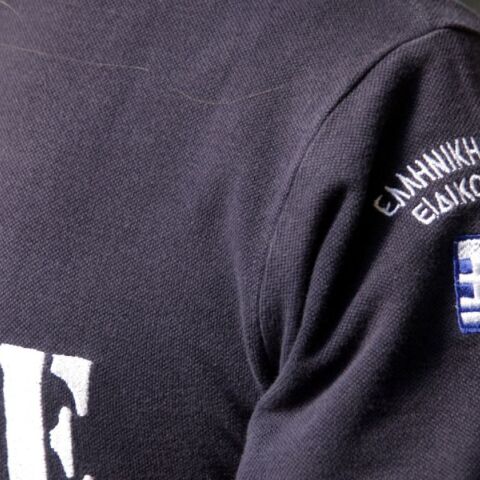 Το Συμβούλιο της Επικρατείας έκρινε νόμιμο το διάταγμα για την αστυνόμευση των δρόμων με 300 ειδικούς φρουρούς της ΕΛ.ΑΣ. - Το σκεπτικό της απόφασης.