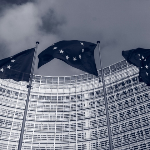 Οι ευρωεκλογές και η εθνική μας μοναξιά