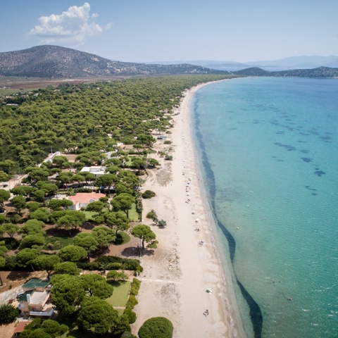 Η παραλία του Σχινιά