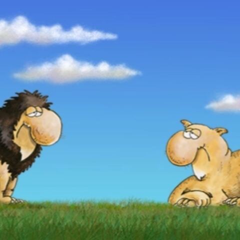 Αρκάς: Η «Καλημέρα» του περί... ευτυχίας