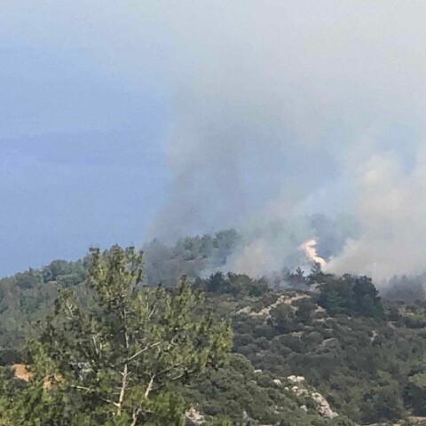 Φωτιά καίει χορτολιβαδική έκταση στην περιοχή Βίκι στη Χίο