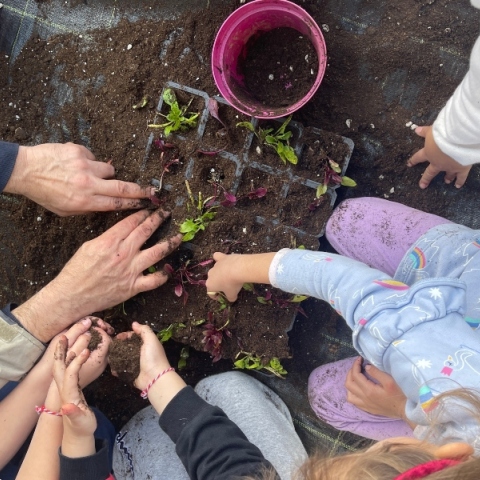 Αειφόρο 2ο Νηπιαγωγείο Χολαργού