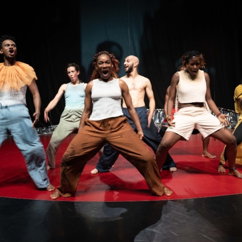 Faso Danse Théâtre, "C la vie"