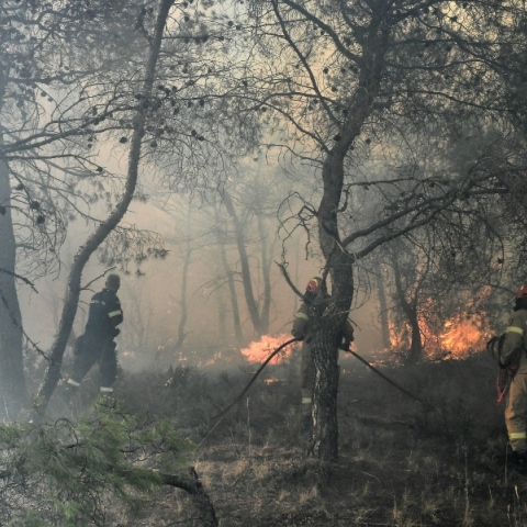 Φωτιά τώρα στην Πρέβεζα: Ήχησε το 112