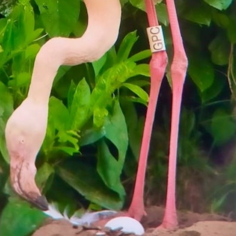 Η Γερτρούδη μαμά στα 70 της, αλλά δεν ήθελε 