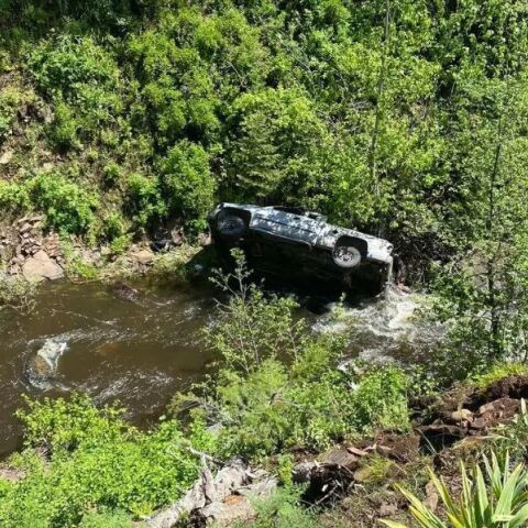 Σκύλος έτρεξε 4 μίλια για να ζητήσει βοήθεια για τον ιδιοκτήτη του - Η πτώση του αυτοκινήτου σε χαράδρα τον άφησε αποκλεισμένο - Οι ηρωικές ενέργειες του ζώου.