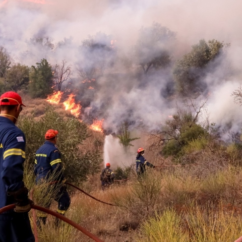 Φωτιά τώρα στη Σπάρτη: Σηκώθηκαν και εναέρια μέσα
