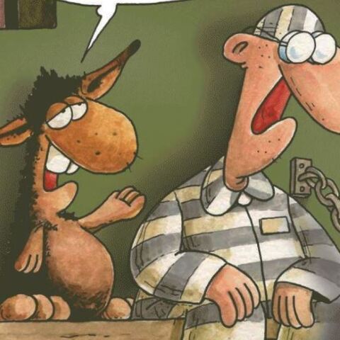 arkas
