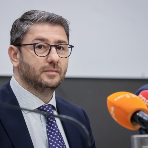 Ο πρόεδρος του ΠΑΣΟΚ, Νίκος Ανδρουλάκης