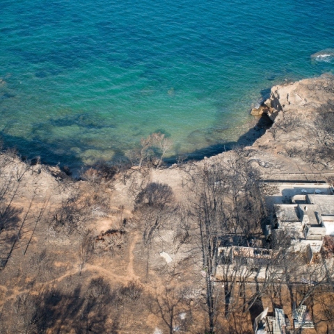 Ο ψυχίατρος πάει υπουργείο