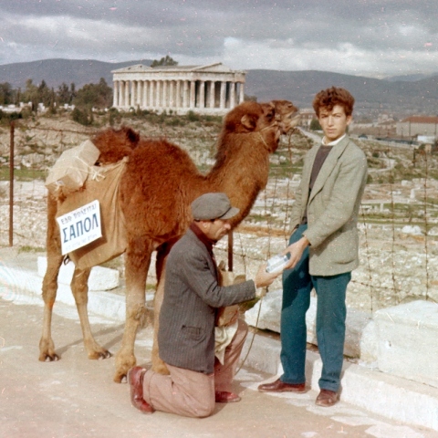 Καμήλα στην οδό Αστεροσκοπείου, 1957. Από το 1954 ένας πλανόδιος πωλητής κυκλοφορούσε στην Αθήνα με μια καμήλα, πουλώντας φιαλίδια με το υγρό σαπούνι «ΣΑΠΟΛ»