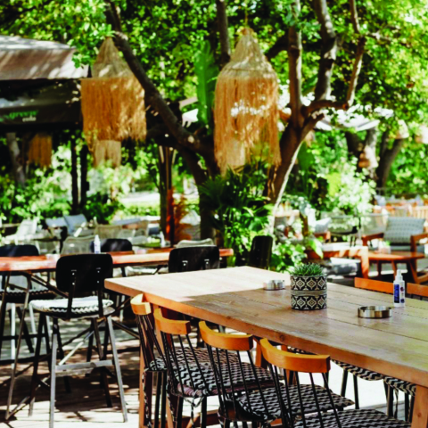 CHALET POLITEIA: Η all day όαση δροσιάς στα βόρεια προάστια