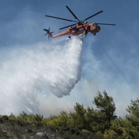 Φωτιά τώρα στις Ερυθρές Αττικής