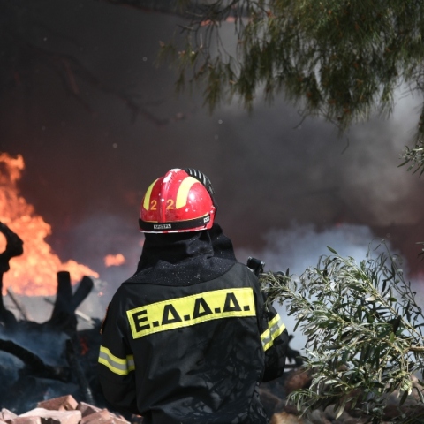 Φωτιά τώρα στην Αχαΐα: Σηκώθηκαν και εναέρια μέσα