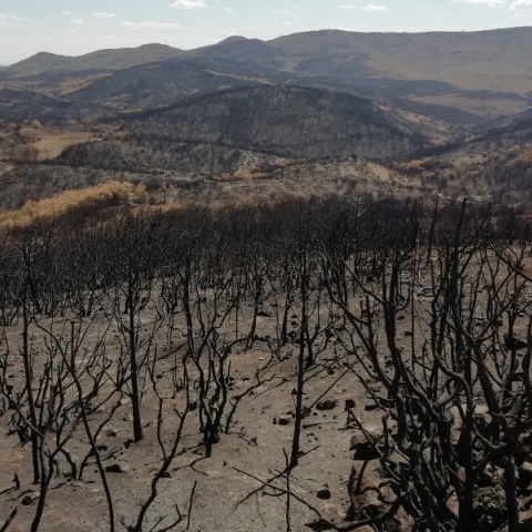  Η ανάλυση του Έβρου δείχνει τον δρόμο που πρέπει να ακολουθηθεί