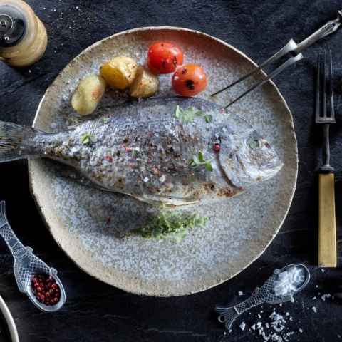 Μίξερ 7: Η ιστορία του ψαριού