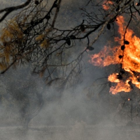 Φωτιά τώρα στη Θεσσαλονίκη στην περιοχή Προφήτης