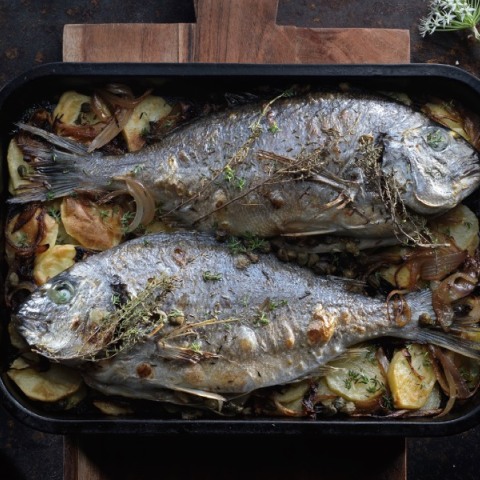 Τα ελληνικά ψάρια που τρώμε πιο συχνά και πώς τα μαγειρεύουμε
