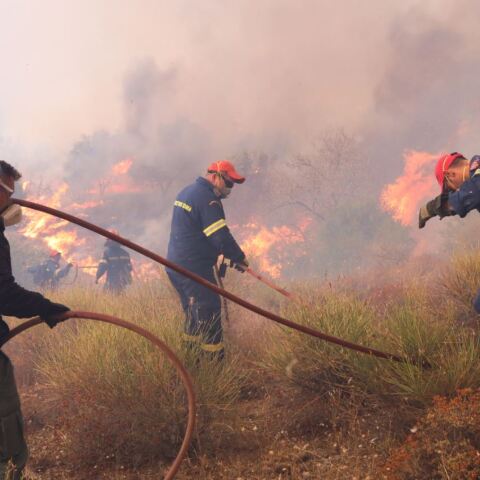 Πυροσβέστες επιχειρούν σε πυρκαγιά