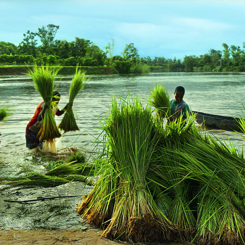 Μαγαδασκάρη