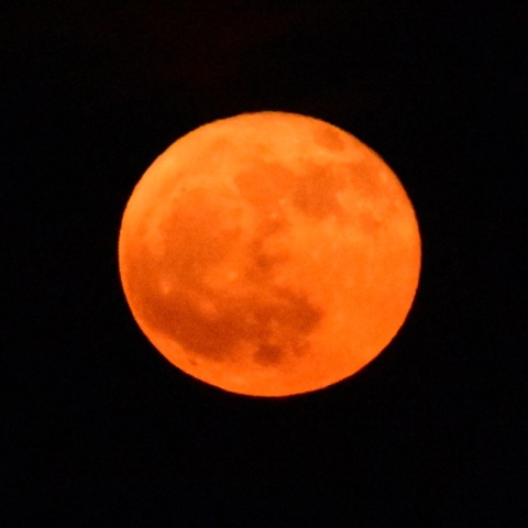 Το φεγγάρι της Φράουλας