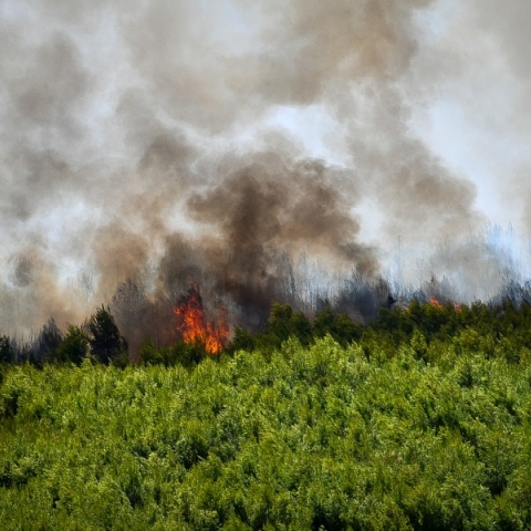 Πολύ υψηλός κίνδυνος πυρκαγιάς αύριο (22.6) σε τρεις Περιφέρειες της Ελλάδας