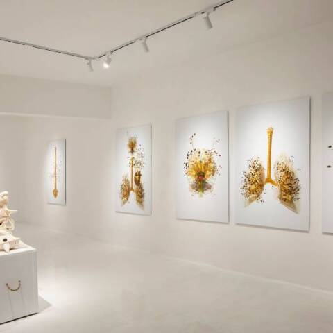 Costas Picadas - Anatomy unveiled στο Μουσείο Σύγχρονης Τέχνης Σαντορίνης