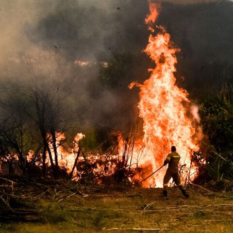 Φωτιές: Συνεχίζει να μαίνεται η πυρκαγιά στην Ηλεία - Καλύτερη η εικόνα σε Μεγαλόπολη και Κρανίδι - Πολύ υψηλός κίνδυνος πυρκαγιάς και σήμερα.
