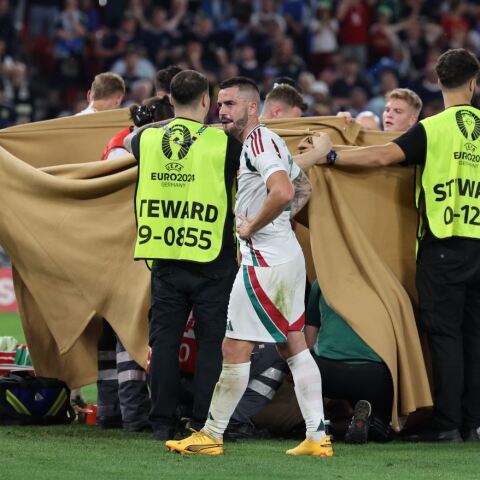 Euro 2024: Εκτός κινδύνου ο Βάργκα