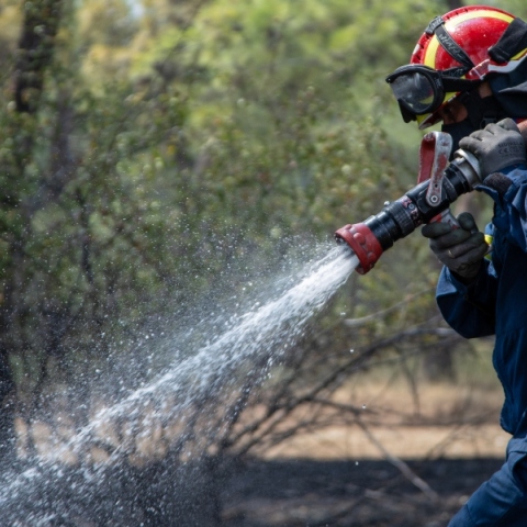 Φωτιά τώρα στη Δροσοπηγή Αφιδνών