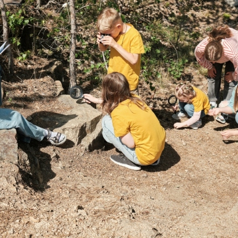 Γραμματικό: 100 παιδιά σε κατασκήνωση με συμπτώματα γαστρεντερίτιδας