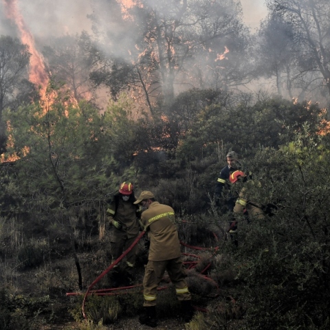 Φωτιά τώρα στη Βοιωτία