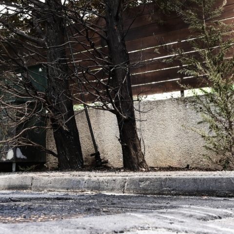 Επίθεση στο σπίτι της προέδρου του Αρείου Πάγου: Πού στρέφονται οι έρευνες της Αντιτρομοκρατικής