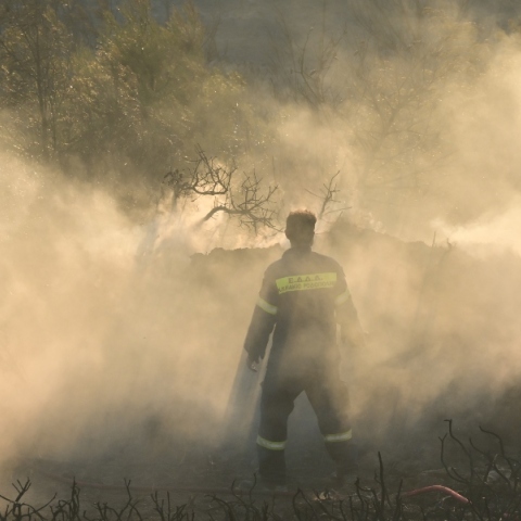 Φωτιές σε Χίο και Κω: Συνεχίζεται η μάχη με τις φλόγες 