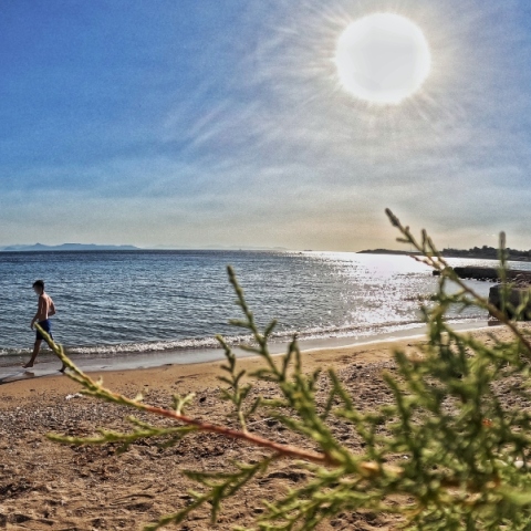 Καιρός αύριο: Στους 38 βαθμούς η θερμοκρασία