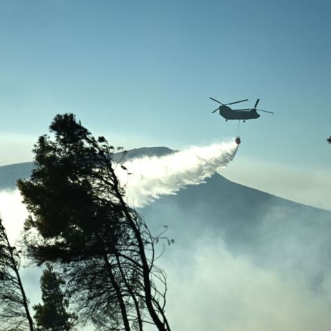 Φωτιά σε Ζάκυνθο και Δίστομο - Ποια η κατάστασή τους